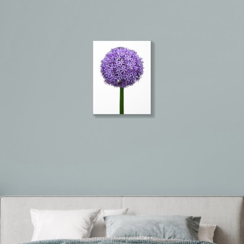 Purple Allium Bloom on White Background Acrylic Photo Tile