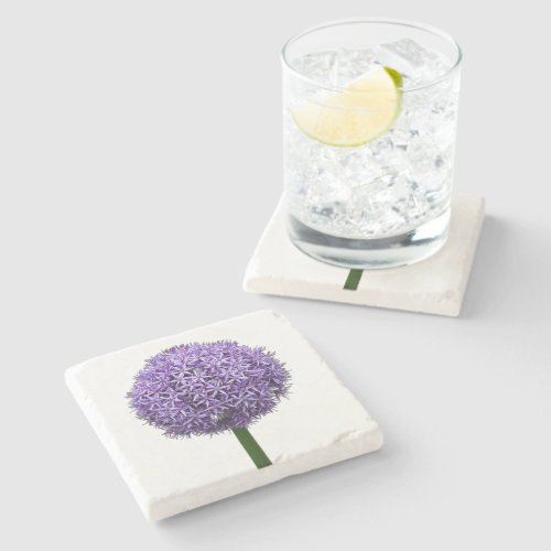 Purple Allium Bloom on White Background Stone Coaster