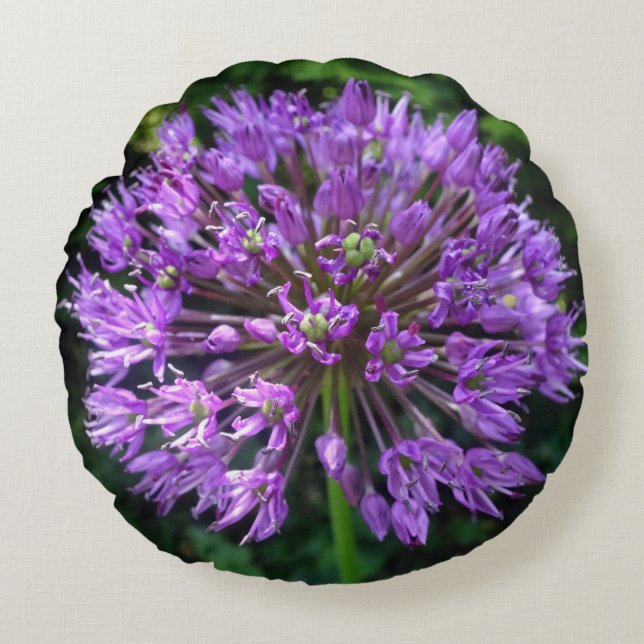 Purple Allium Close up Round Pillow (Front)