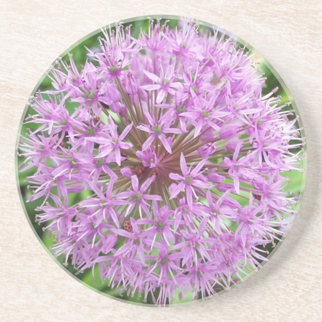 Purple Allium Coaster (Front)