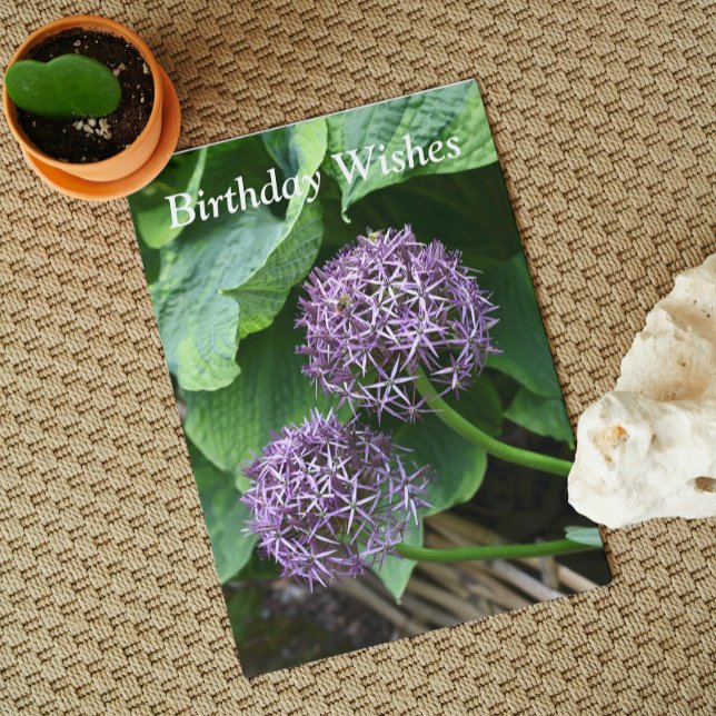 Purple Allium Floral Birthday Card (In Situ)