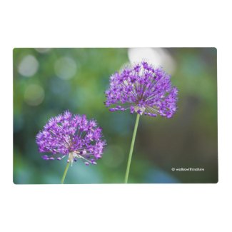 Purple Allium Giganteum Giant Onion Flowers Placemat