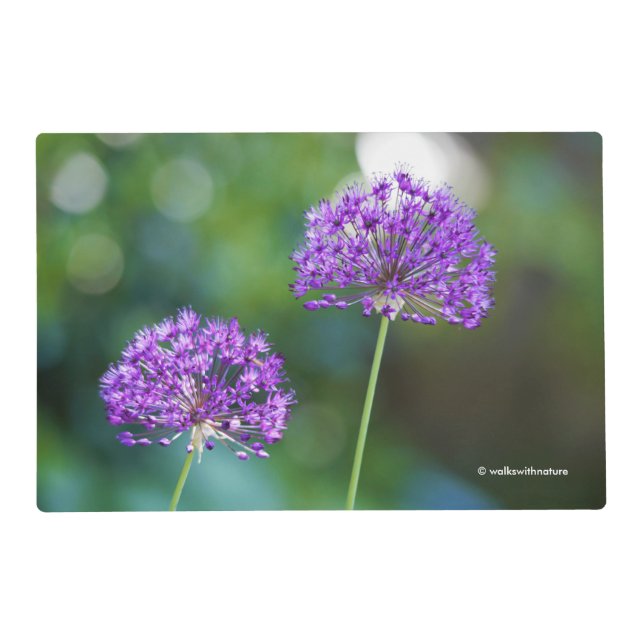 Purple Allium Giganteum Giant Onion Flowers Placemat (Front)