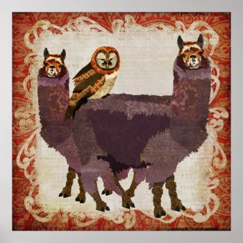 Purple Alpacas Amber Owl Art Poster by Greyszoo at Zazzle