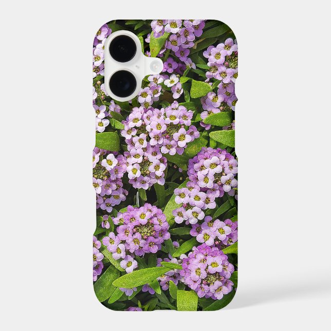 Purple Alyssum Blossoms Case-Mate iPhone Case (Back)