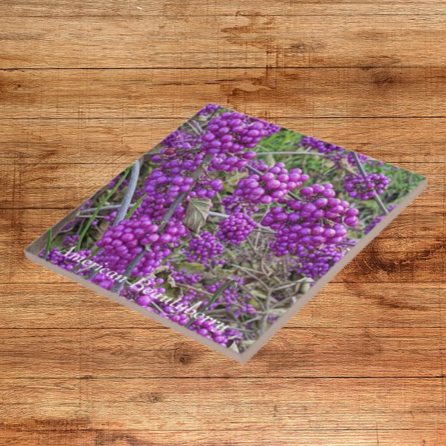 Purple American Beautyberry Botanical Ceramic Tile (In Situ)