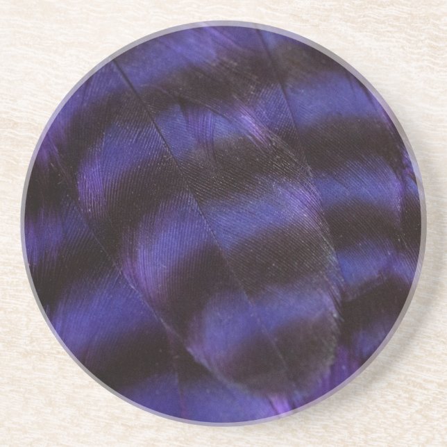 Purple and Black Feathers Drink Coaster (Front)
