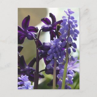 Purple and Blue Spring Flowers DIY Postcard