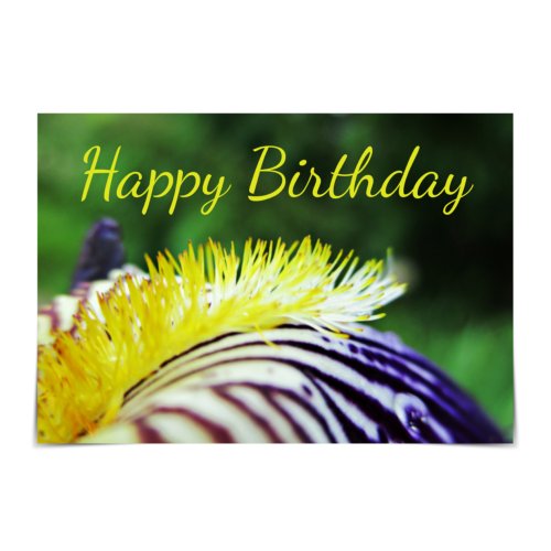 Purple and Gold Bearded Iris Birthday Card