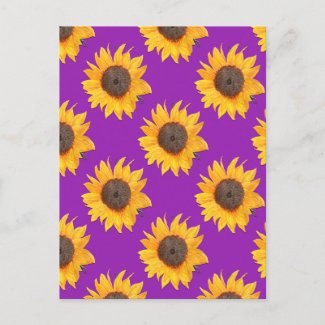 Purple and Gold Sunflower