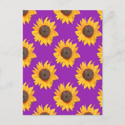 Purple and Gold Sunflower