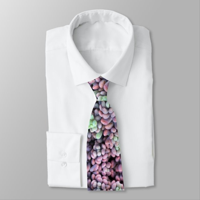 Purple and Green Sedum Dasyphyllum Succulent Neck Tie (Tied)