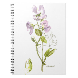Purple and green sweet-pea flower watercolor notebook