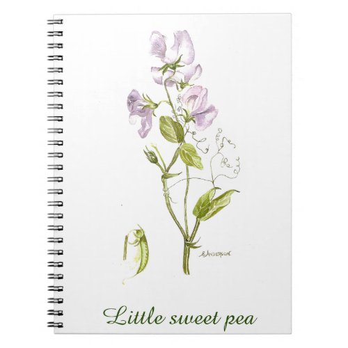 purple and green sweetpea flower watercolor notebook