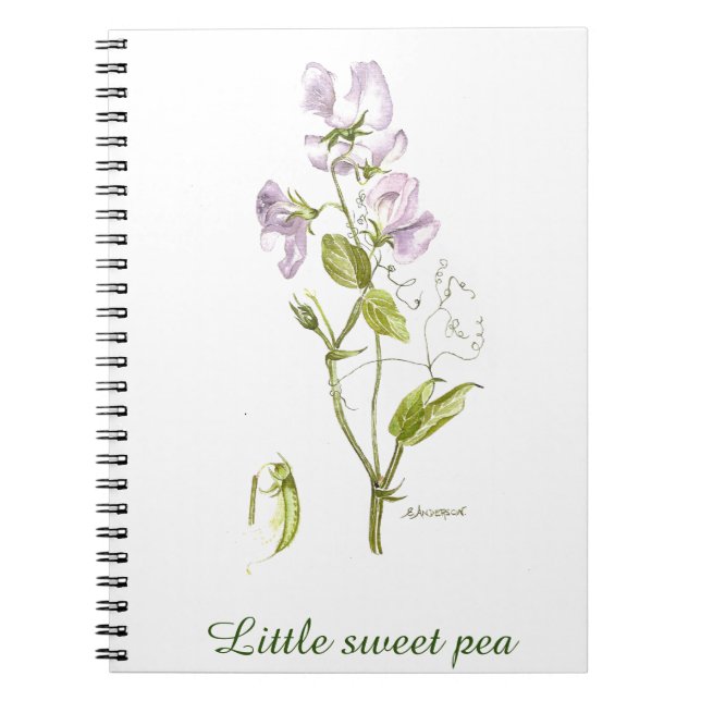 purple and green sweetpea flower watercolor notebook (Front)