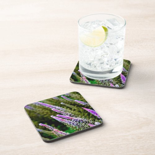 Purple and Green Wildflower Beverage Coaster