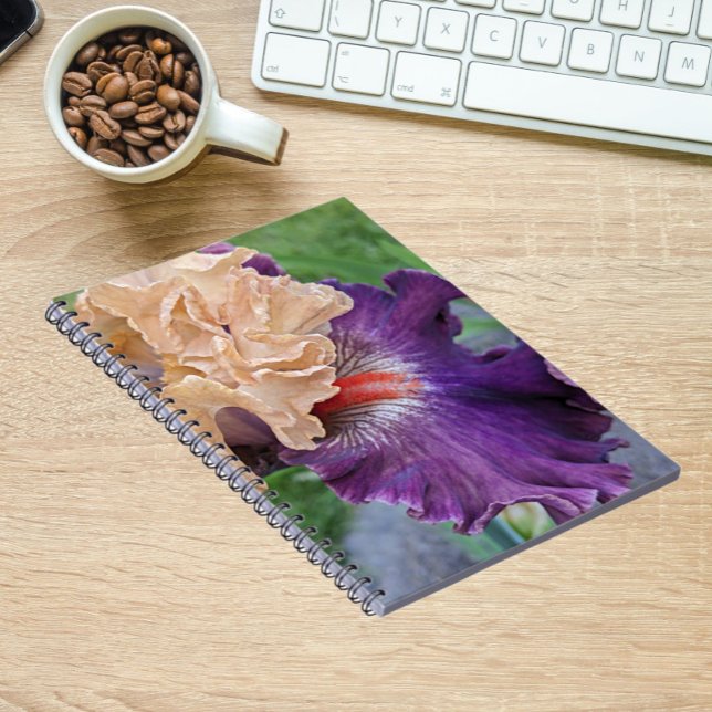 Purple and Peach Bearded Iris Bloom Floral Notebook (In Situ)