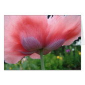 Purple and Pink (Front Horizontal)