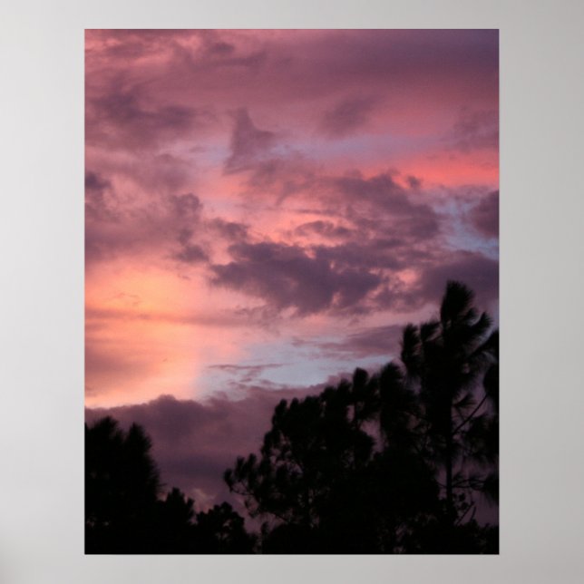 Purple and Pink Florida Sunset over Pine Trees Poster (Front)