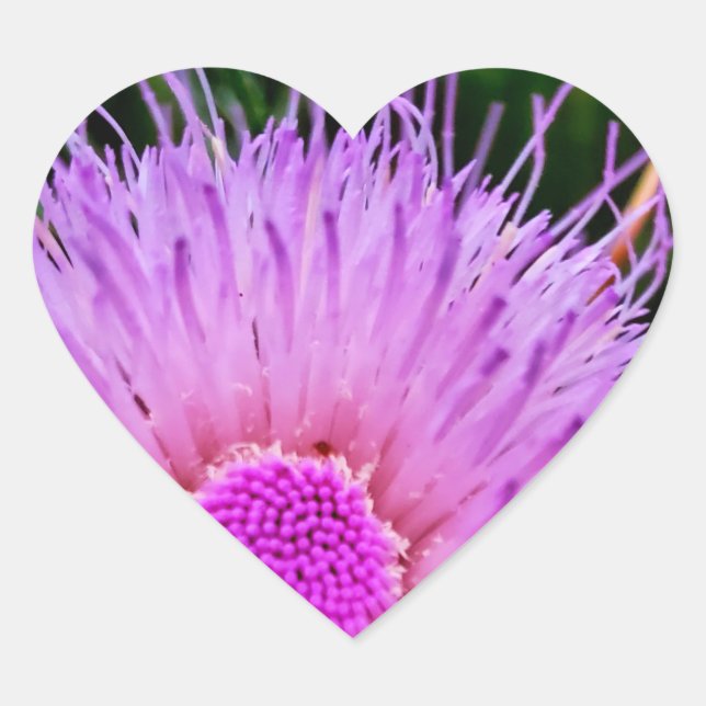 Purple and Pink Flower Heart Sticker (Front)