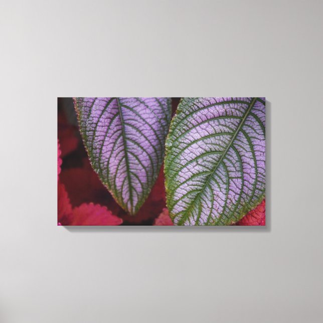 Purple and Red Leaved Canvas (Front)