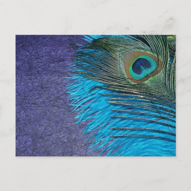 Purple and Teal Peacock Postcard (Front)
