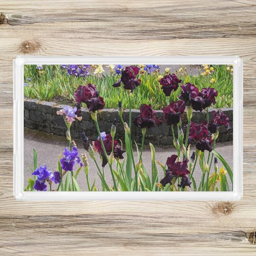 Purple and Violet Iris Blooms Floral Acrylic Tray