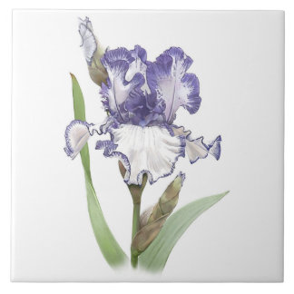 Purple and White Bearded Iris Flower Botanical Art Ceramic Tile