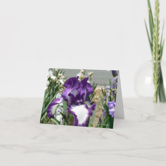 Purple and White Card