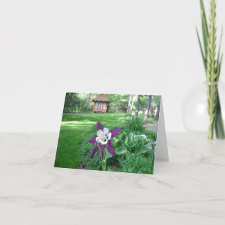 Purple and White Columbine Card