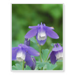 Purple and White Columbine Temporary Tattoos