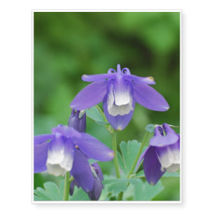 Purple and White Columbine Temporary Tattoos