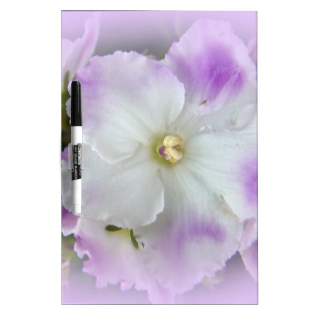 Purple and White Fancy African Violets Dry Erase Board (Front)