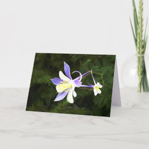 Purple and White Flower,  Floral, Blank Inside Card