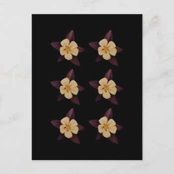 Purple And White Flowers Postcard by LeFlange at Zazzle