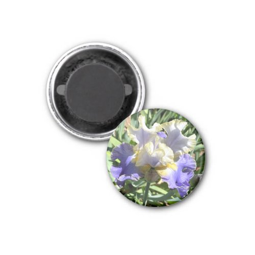 Purple and White Gilded Iris Magnet
