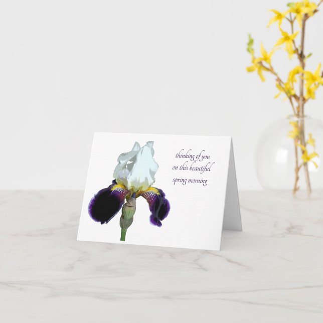 Purple and White Iris Greeting Card (Yellow Flower)