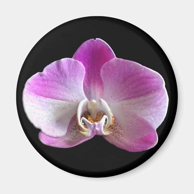 Purple and White Orchid Magnet (Front)