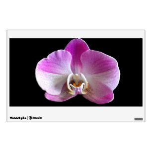 Purple and White Orchid Wall Decal