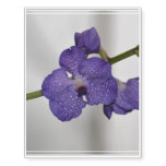 Purple and White Orchids Temporary Tattoos