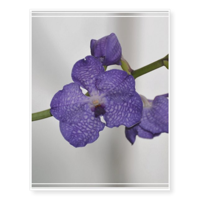 Purple and White Orchids Temporary Tattoos (Front)