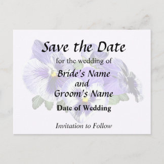 Purple and White Pansies Announcement Postcard