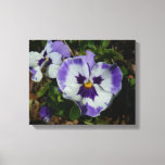 Purple and White Pansies Colorful Floral Canvas Print