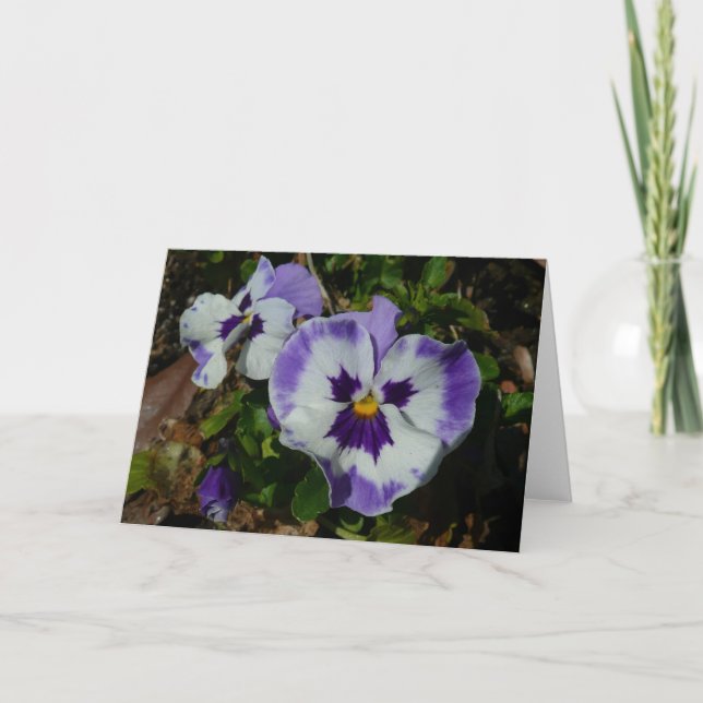 Purple and White Pansies Colorful Floral Card (Front)
