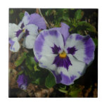 Purple and White Pansies Colorful Floral Ceramic Tile