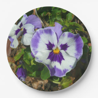 Purple and White Pansies Colorful Floral Paper Plates