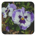 Purple and White Pansies Colorful Floral Square Sticker