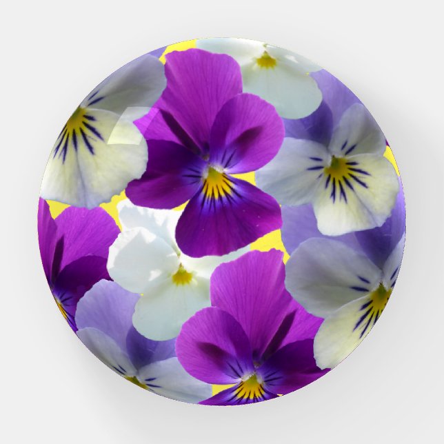 Purple and White Pansies Paperweight (Front)