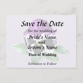 Purple and White Pansy Announcement Postcard