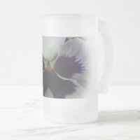 Purple and white pansy